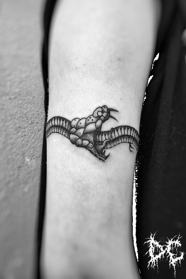 Dobry Chłopiec Tattoo - tatuaż projekt wąż zjadający ogon na ramieniu projekty tatuaży dotwork