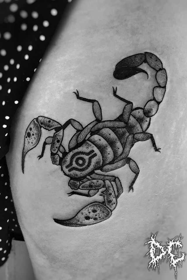 Dobry Chłopiec Tattoo - tatuaż projekt skorpion scorpio dotwork
